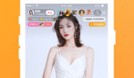 杏视频,探索视觉盛宴的数字世界